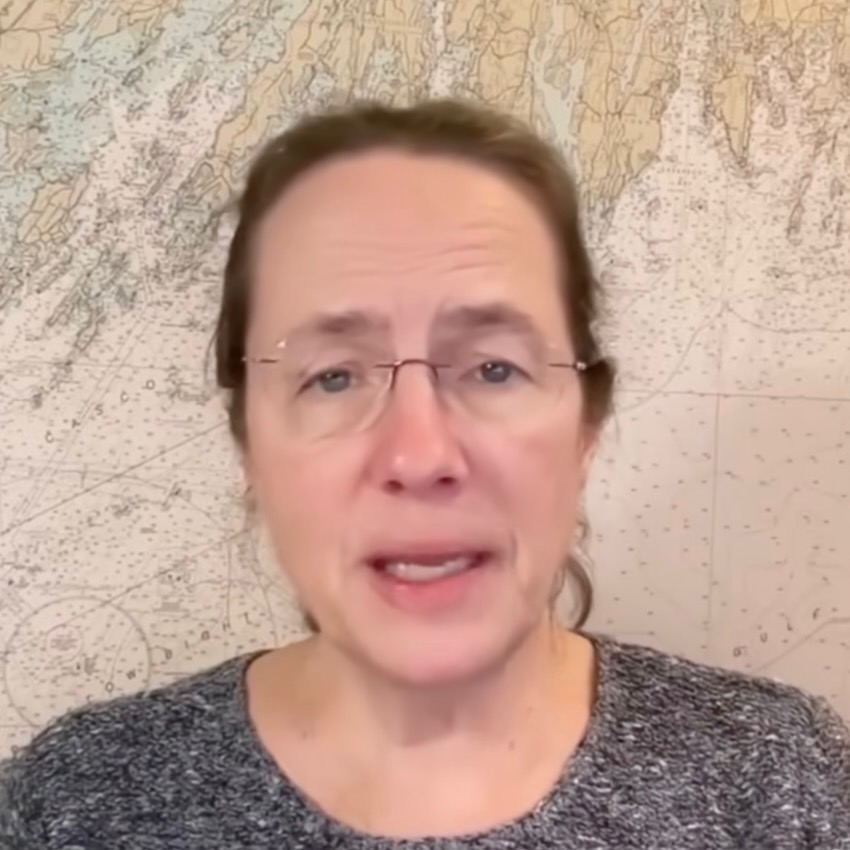 HEATHER COX RICHARDSON